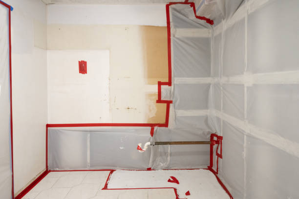 Best Emergency Mold Remediation  in Sterlington, LA